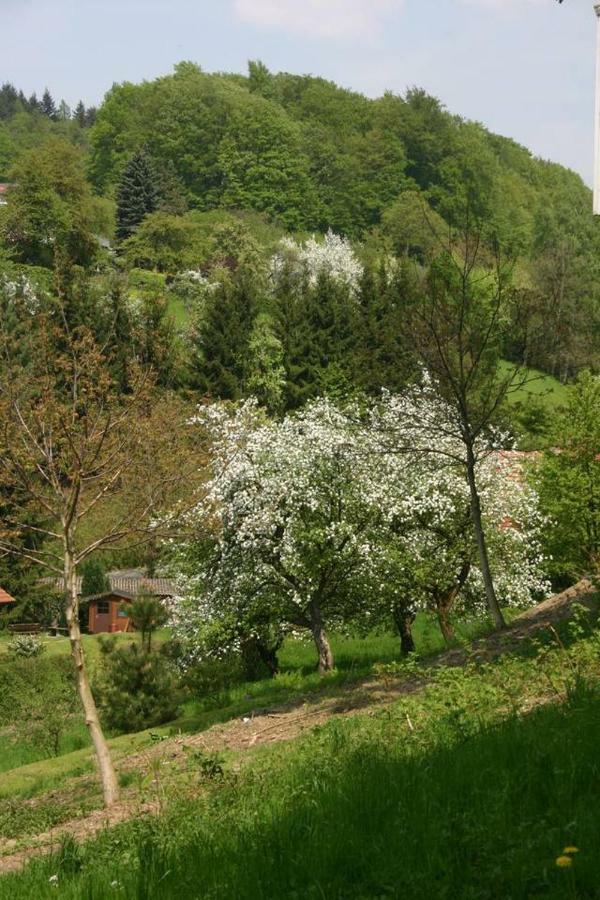 Talblick Appartement In Traumhafter Lage! Ober-Hambach Zewnętrze zdjęcie