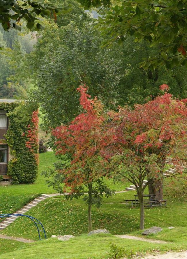 Talblick Appartement In Traumhafter Lage! Ober-Hambach Zewnętrze zdjęcie